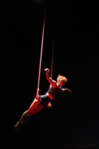 Copy of AerialExpo (937)